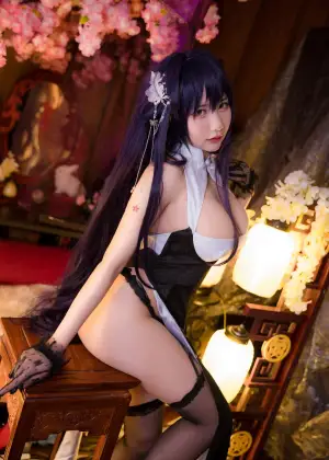 是一只熊仔 – 碧蓝航线 吾妻 [15P-31.4MB]