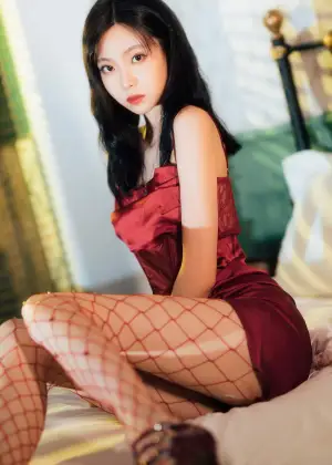 许岚 – 网袜红裙 [40P-961MB]