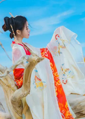 桜桃喵 – 惊鸿 [17P-375MB]